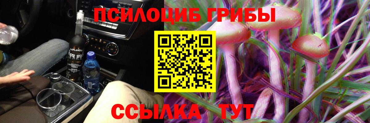 Псилоцибиновые грибы Cubensis Сосновоборск
